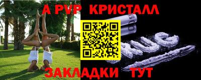 крисы Шелехов