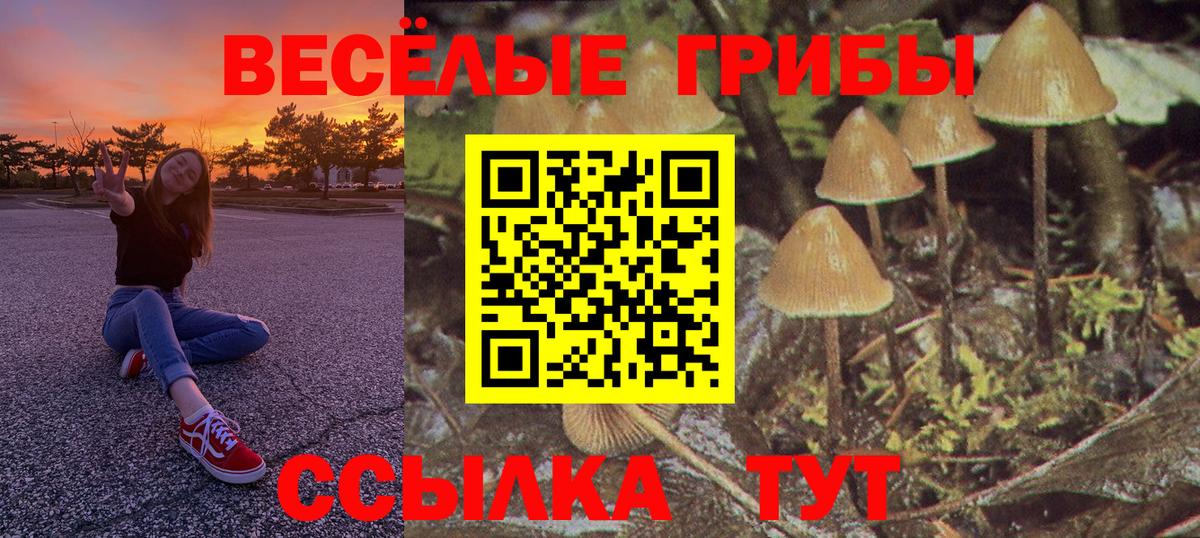 Псилоцибиновые грибы ЛСД  Псилоцибиновые грибы Psilocybine cubensis  Вход с VPN  Донской 